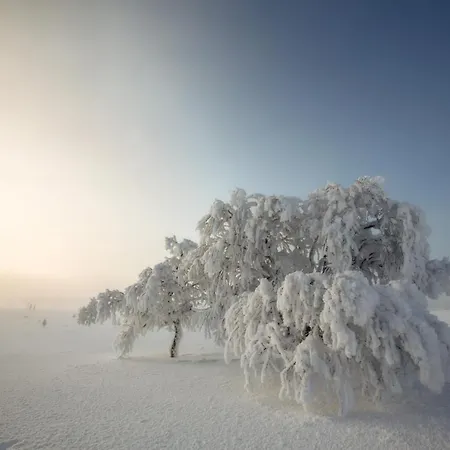 Σπίτι διακοπών Log Kaekriaeinen A Suomutunturi