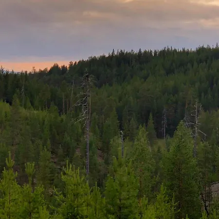 Log Kaekriaeinen A Dom wakacyjny *