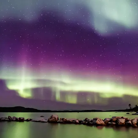 Log Kaekriaeinen A Suomutunturi