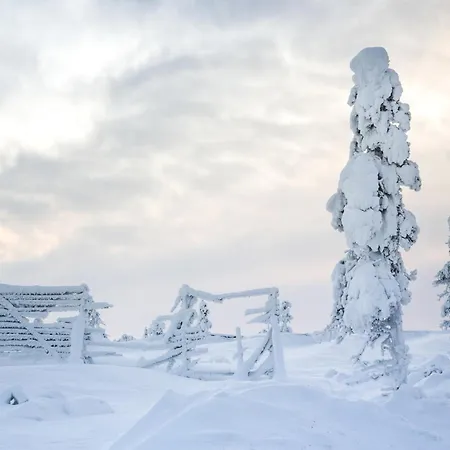 Log Kaekriaeinen A *
