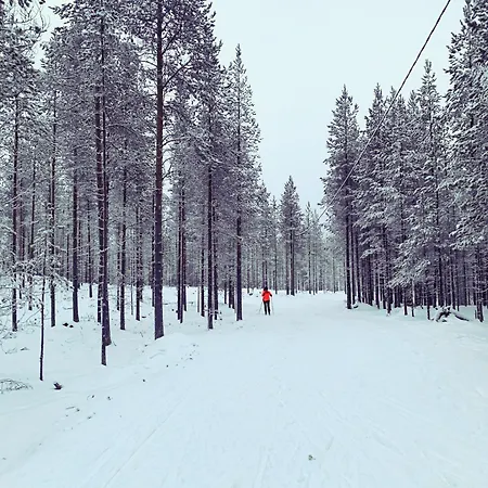 Log Kaekriaeinen A Loma-asunnot *