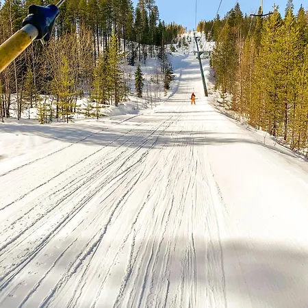 Log Kaekriaeinen A * Suomutunturi
