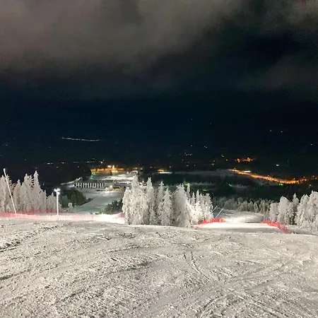 Log Kaekriaeinen A * Suomutunturi